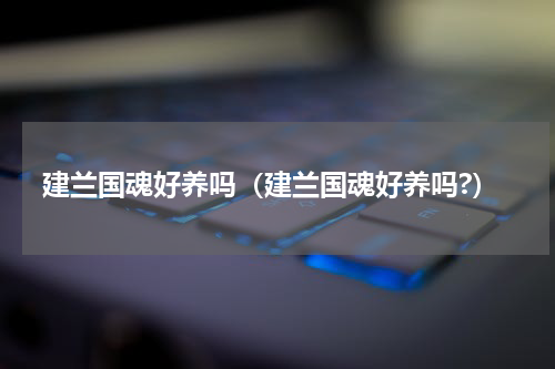 建兰国魂好养吗（建兰国魂好养吗?）