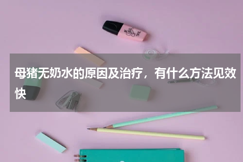 母猪无奶水的原因及治疗，有什么方法见效快
