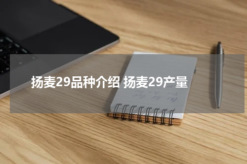扬麦29品种介绍 扬麦29产量