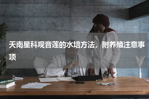 天南星科观音莲的水培方法，附养殖注意事项