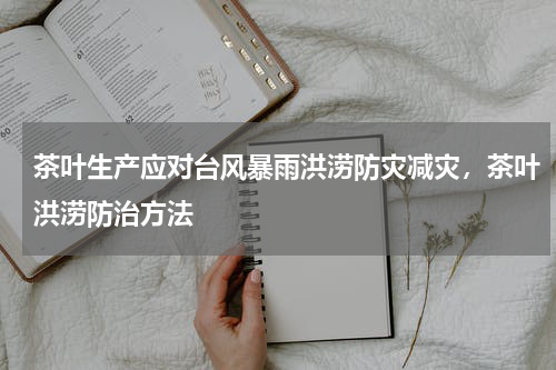 茶叶生产应对台风暴雨洪涝防灾减灾，茶叶洪涝防治方法