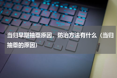 当归早期抽薹原因，防治方法有什么（当归抽薹的原因）