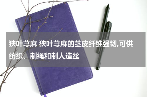 狭叶荨麻 狭叶荨麻的茎皮纤维强韧,可供纺织、制绳和制人造丝
