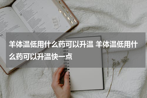 羊体温低用什么药可以升温 羊体温低用什么药可以升温快一点