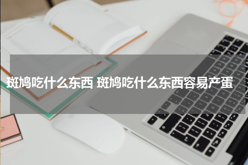 斑鸠吃什么东西 斑鸠吃什么东西容易产蛋