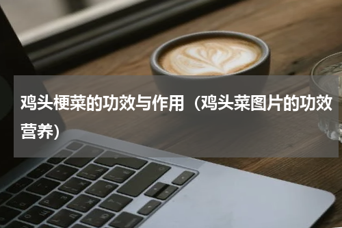 鸡头梗菜的功效与作用（鸡头菜图片的功效营养）