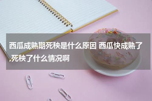 西瓜成熟期死秧是什么原因 西瓜快成熟了,死秧了什么情况啊