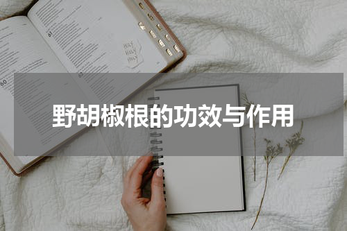野胡椒根的功效与作用