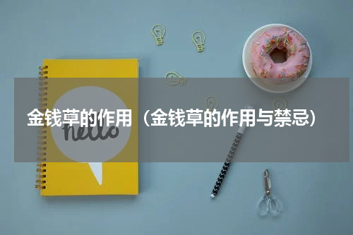 金钱草的作用（金钱草的作用与禁忌）