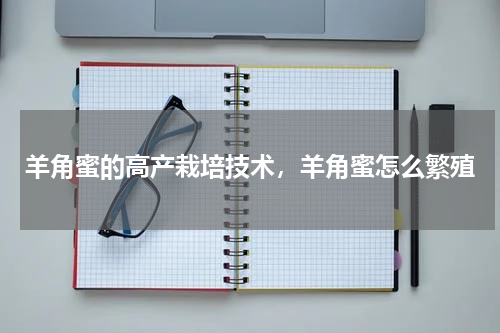 羊角蜜的高产栽培技术，羊角蜜怎么繁殖