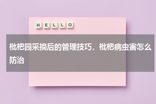 枇杷园采摘后的管理技巧，枇杷病虫害怎么防治