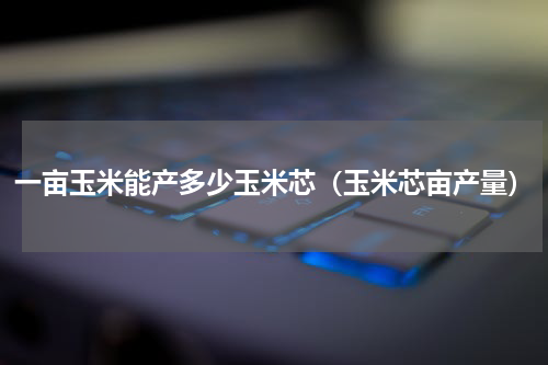 一亩玉米能产多少玉米芯（玉米芯亩产量）