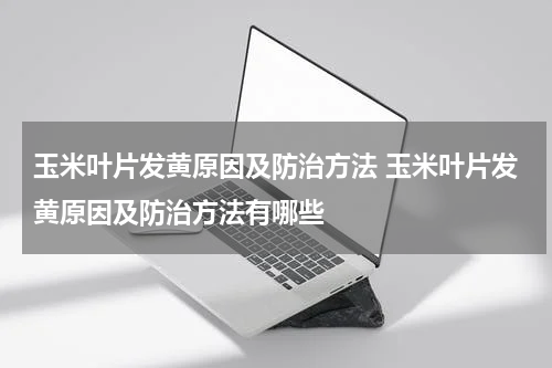 玉米叶片发黄原因及防治方法 玉米叶片发黄原因及防治方法有哪些