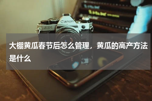 大棚黄瓜春节后怎么管理，黄瓜的高产方法是什么