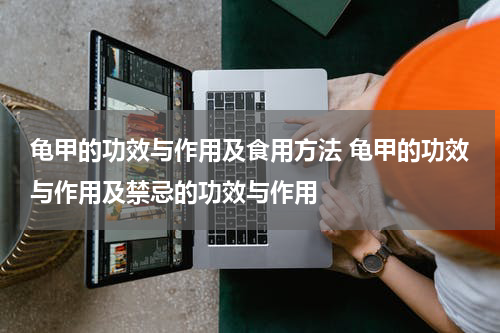 龟甲的功效与作用及食用方法 龟甲的功效与作用及禁忌的功效与作用