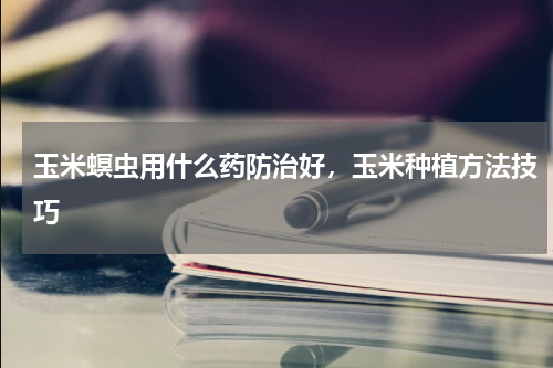 玉米螟虫用什么药防治好，玉米种植方法技巧
