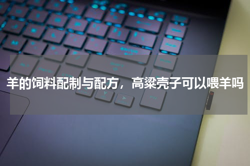 羊的饲料配制与配方，高粱壳子可以喂羊吗