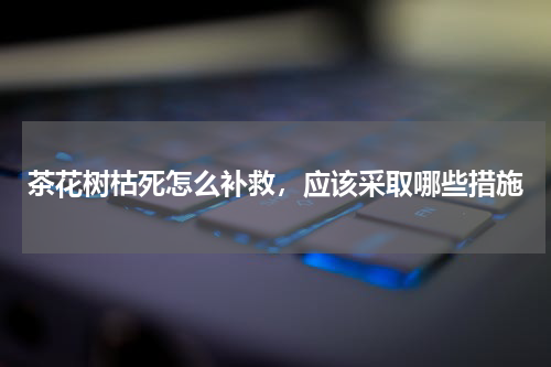 茶花树枯死怎么补救，应该采取哪些措施