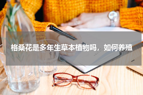 格桑花是多年生草本植物吗，如何养殖
