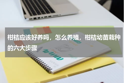 柑桔应该好养吗，怎么养殖，柑桔幼苗栽种的六大步骤