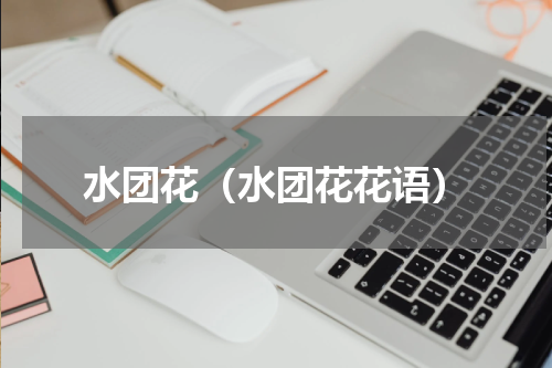 水团花（水团花花语）