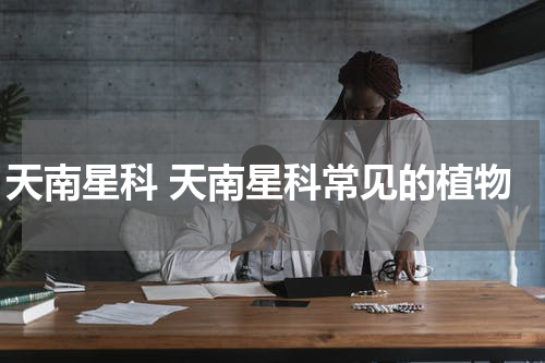 天南星科 天南星科常见的植物