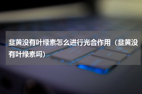 韭黄没有叶绿素怎么进行光合作用（韭黄没有叶绿素吗）