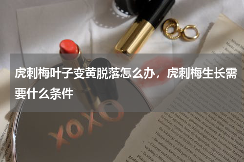虎刺梅叶子变黄脱落怎么办，虎刺梅生长需要什么条件