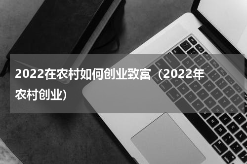 2022在农村如何创业致富（2022年农村创业）