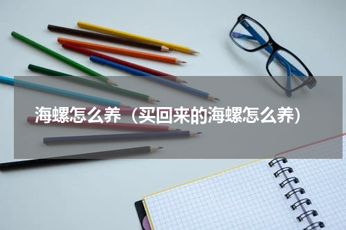 海螺怎么养（买回来的海螺怎么养）
