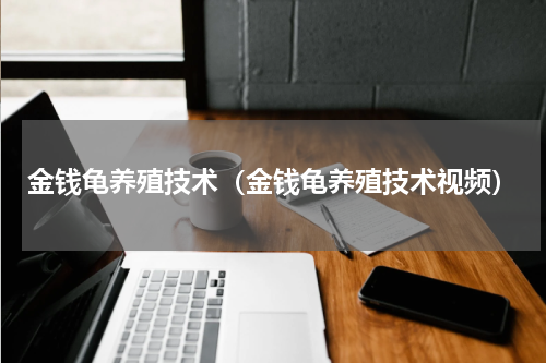 金钱龟养殖技术（金钱龟养殖技术视频）
