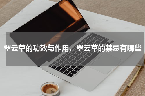 翠云草的功效与作用，翠云草的禁忌有哪些