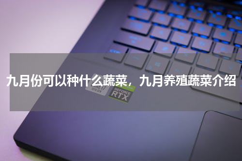 九月份可以种什么蔬菜，九月养殖蔬菜介绍