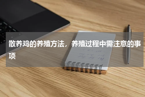 散养鸡的养殖方法，养殖过程中需注意的事项