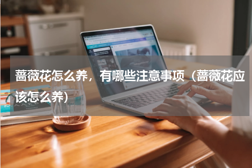 蔷薇花怎么养，有哪些注意事项（蔷薇花应该怎么养）