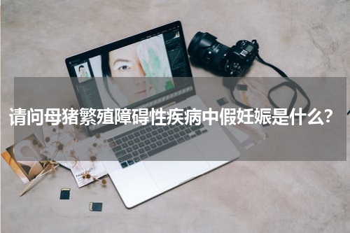 请问母猪繁殖障碍性疾病中假妊娠是什么？