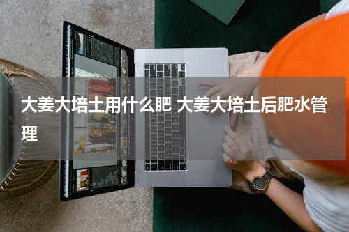 大姜大培土用什么肥 大姜大培土后肥水管理