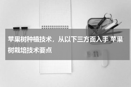 苹果树种植技术，从以下三方面入手 苹果树栽培技术要点