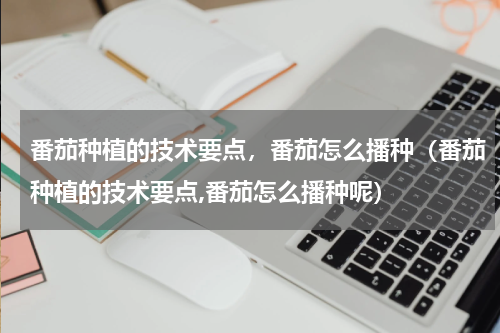 番茄种植的技术要点，番茄怎么播种（番茄种植的技术要点,番茄怎么播种呢）