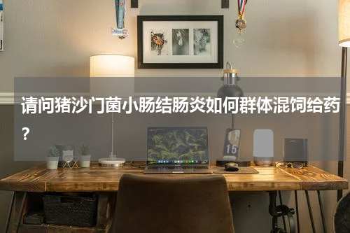 请问猪沙门菌小肠结肠炎如何群体混饲给药？
