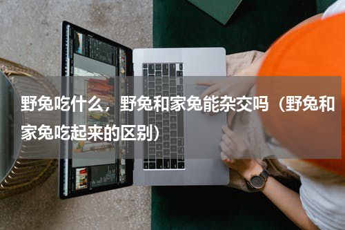 野兔吃什么，野兔和家兔能杂交吗（野兔和家兔吃起来的区别）