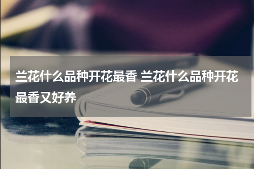 兰花什么品种开花最香 兰花什么品种开花最香又好养