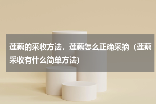 莲藕的采收方法，莲藕怎么正确采摘（莲藕采收有什么简单方法）