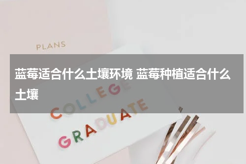蓝莓适合什么土壤环境 蓝莓种植适合什么土壤