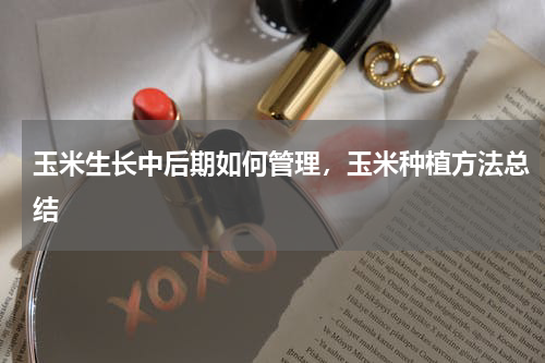 玉米生长中后期如何管理，玉米种植方法总结
