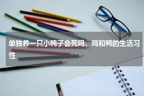 单独养一只小鸭子会死吗，鸡和鸭的生活习性