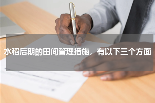 水稻后期的田间管理措施，有以下三个方面