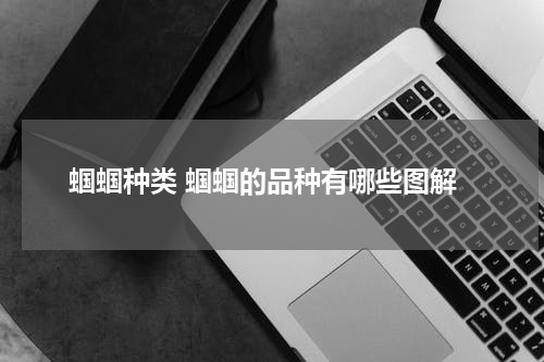 蝈蝈种类 蝈蝈的品种有哪些图解