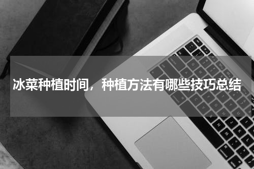 冰菜种植时间，种植方法有哪些技巧总结