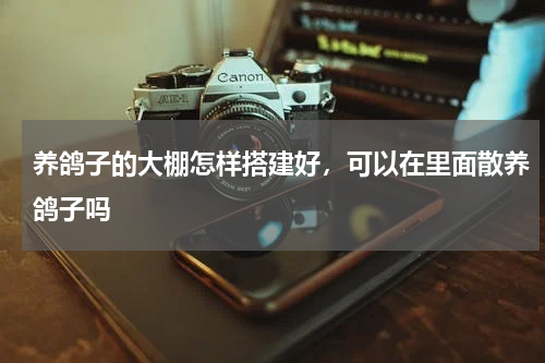 养鸽子的大棚怎样搭建好，可以在里面散养鸽子吗